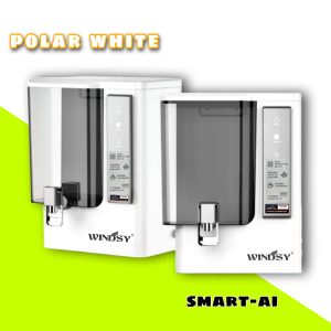 WINDSY SMART-AI